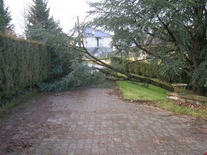 Ce matin, chez un particulier à Lubersac